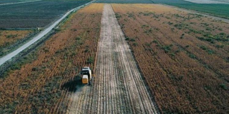 Haziran ayı tarım ürünleri üretici fiyat endeksi belli oldu