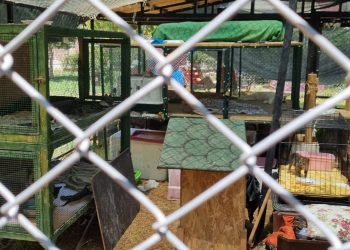 Bakım değil işkence