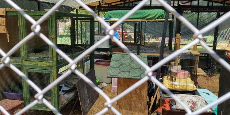 Bakım değil işkence