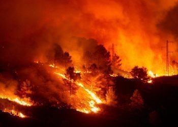 “Yangınların Yüzde 80’i ihmalden”