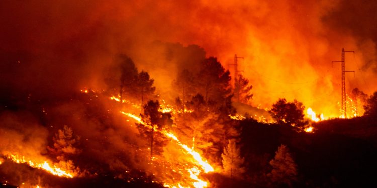 “Yangınların Yüzde 80’i ihmalden”