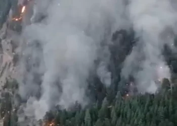 Mersin’deki orman yangını 2’nci gününde