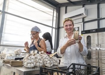 Kadın kooperatifinden organik tarım