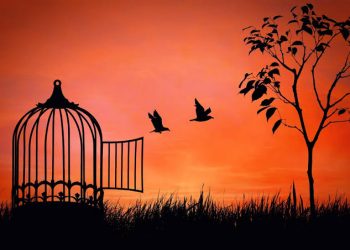 İ. Hakkı Şimşek yazdı: Ulusalcı/Milliyetçi hezeyan yarış