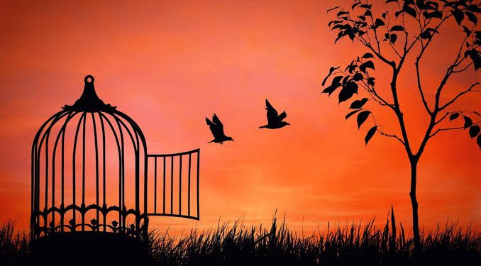 İ. Hakkı Şimşek yazdı: Ulusalcı/Milliyetçi hezeyan yarış