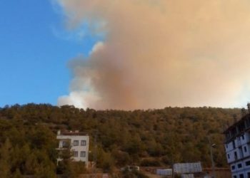 Gülnar’da orman yangını