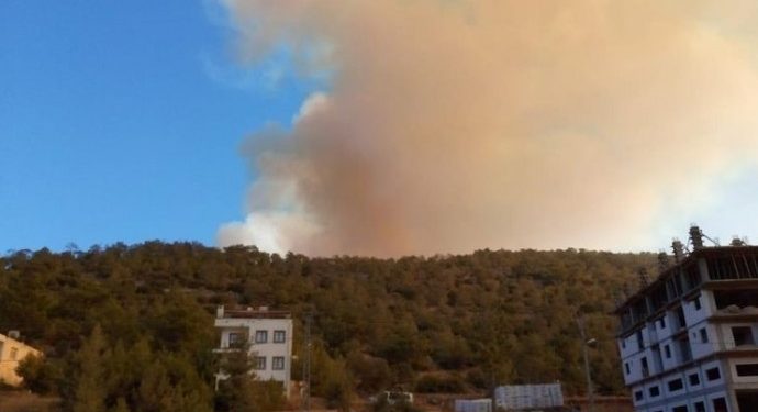 Gülnar’da orman yangını