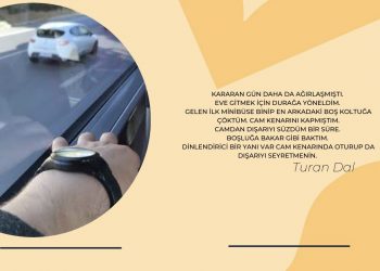 Turan Dal yazdı: Nasıl olacak?