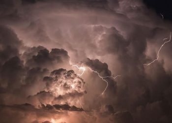 Turan Dal yazdı: Herkese açık bir yazı