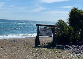 Mersin Barosu 100. Yıl Tabiat Parkı’ndaki doğa katliamını yargıya taşıdı