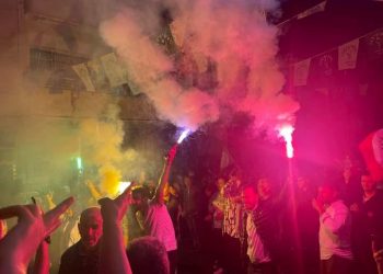 Yeşil Sol Mersin’de halk şenliği düzenledi