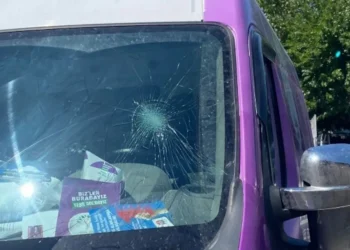 Tarsus’ta Yeşil Sol Parti’nin anons aracına ırkçı saldırı