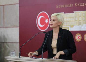 Vekil Koca orman yangınlarını meclis gündemine taşıdı