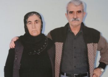 Milletvekili Bozan, Adalet Bakanı Tunç’a tahliyesi ertelenen Nail Demir’i sordu