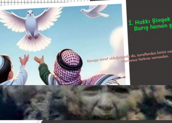 İ. Hakkı Şimşek yazdı: Barış hemen şimdi!