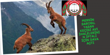 MERSİN BAROSU,  YABAN KEÇİSİ AVI İHALELERİNİN İPTALİ İÇİN DAVA AÇTI