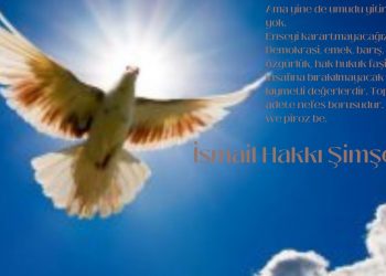 İ. Hakkı Şimşek: Yeni yıl barış yılı olmasını diliyorum; Ser sal a we pîroz be