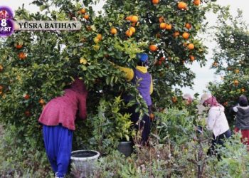 8 Mart’a katılamayan tarım işçisi kadınlar: Sesimizi duyurun