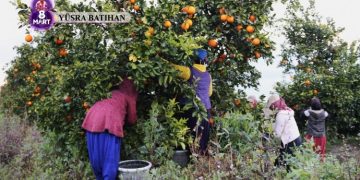 8 Mart’a katılamayan tarım işçisi kadınlar: Sesimizi duyurun