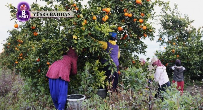 8 Mart’a katılamayan tarım işçisi kadınlar: Sesimizi duyurun