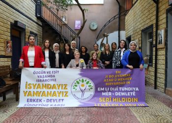 DEM Parti Mersin Kadın Meclisi 25 Kasım programını açıkladı